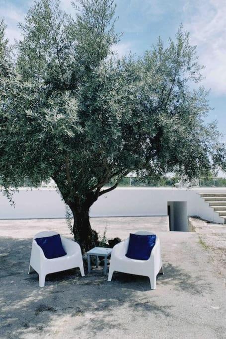 הוילה נלאס Casa Da Oliveira מראה חיצוני תמונה